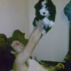 Meet your Posher, Ivan